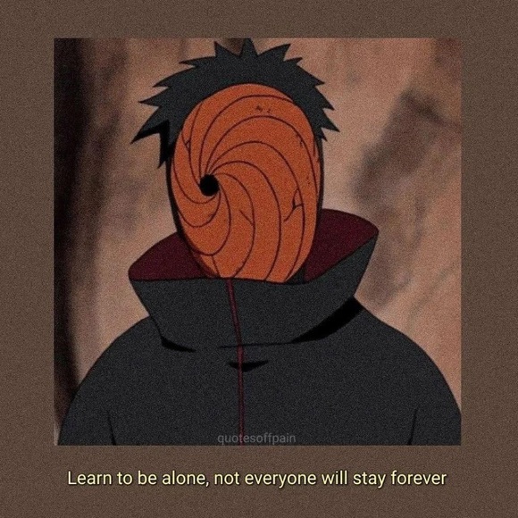 Meet your Posher, Oso - Picture 1 of 1